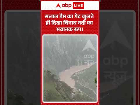 Viral Video : सलाल डैम का गेट खुलते ही दिखा चिनाब नदी का भयानक रूप! #shorts #viralvideo #trending
