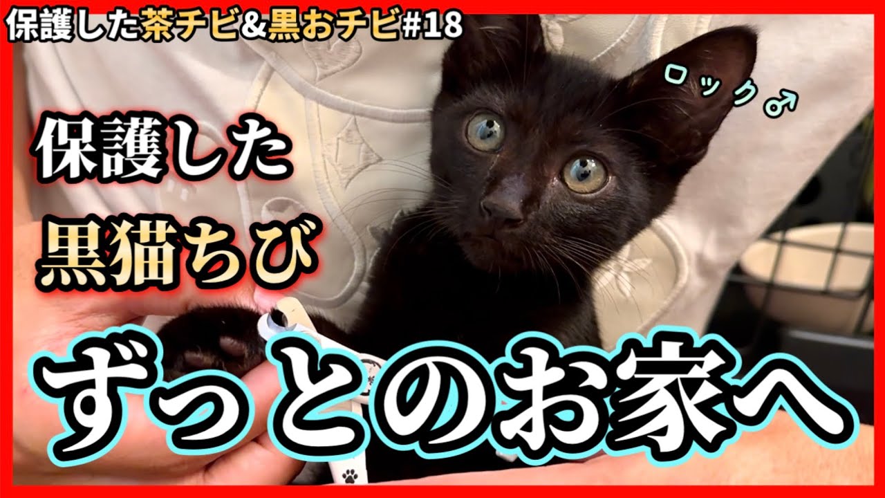 お別れの時がやってきました - YouTube