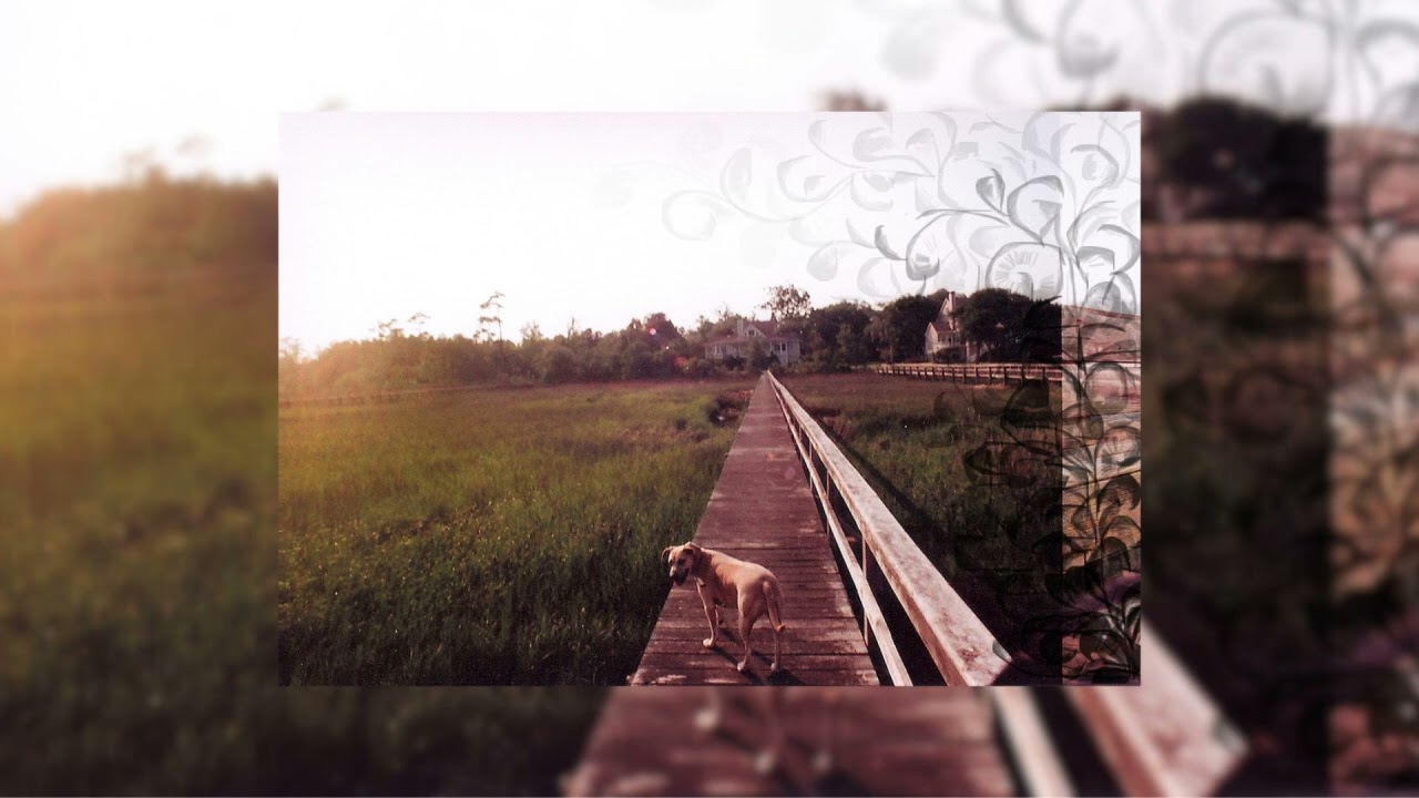 Infinity Crush   when we're snow (full album)