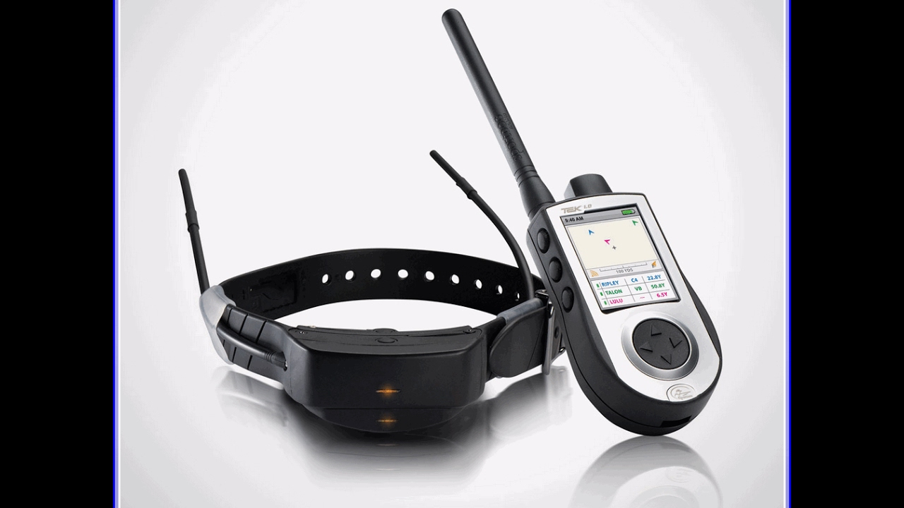 DOG GPS TRACKER Best Dog GPS Tracker Collar 2019 YouTube