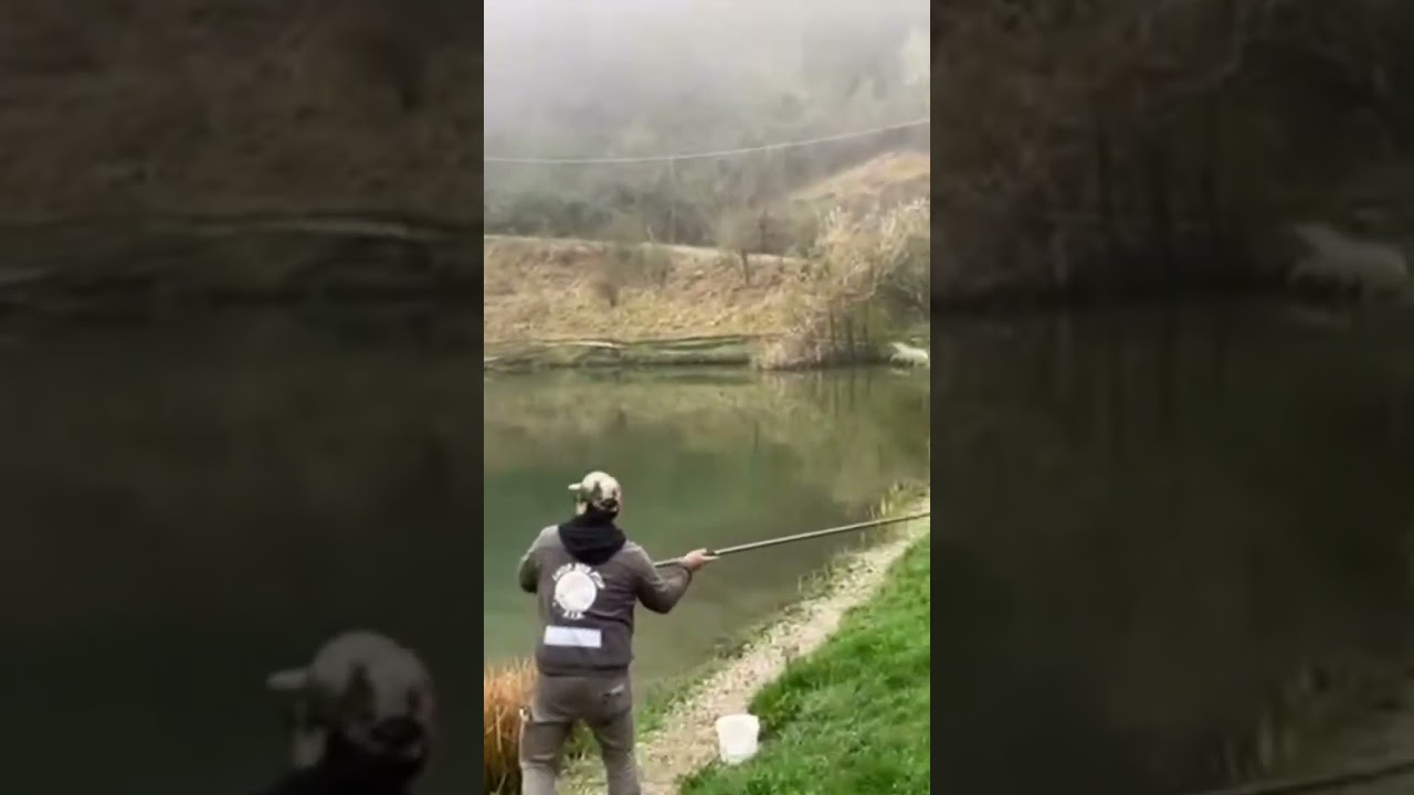 1000 kg Di Trote in Frenesia Alimentare 