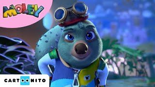 Moley | Cartoonito France | Le rectangle magique