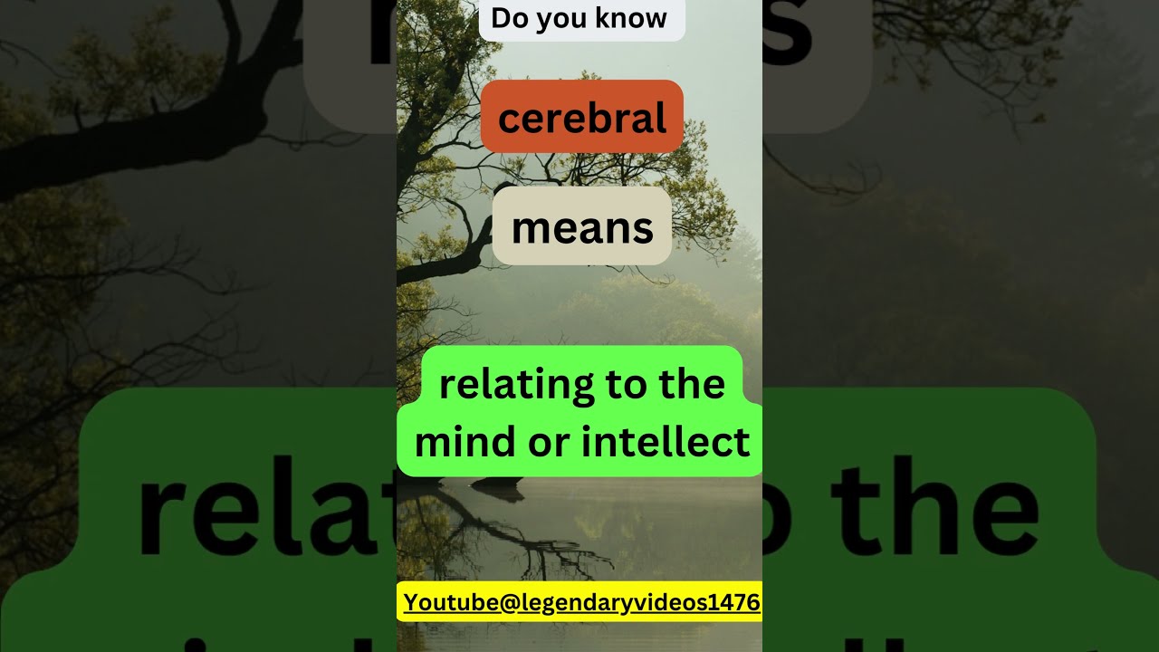 9 Audacious Beguiling Bombastic Capricious Cerebral Clairvoyant Word Of The Day