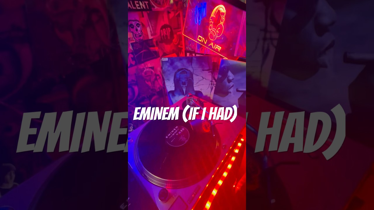 EMINEM (IF I HAD) 