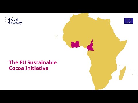 The EU Sustainable Cocoa Initiative