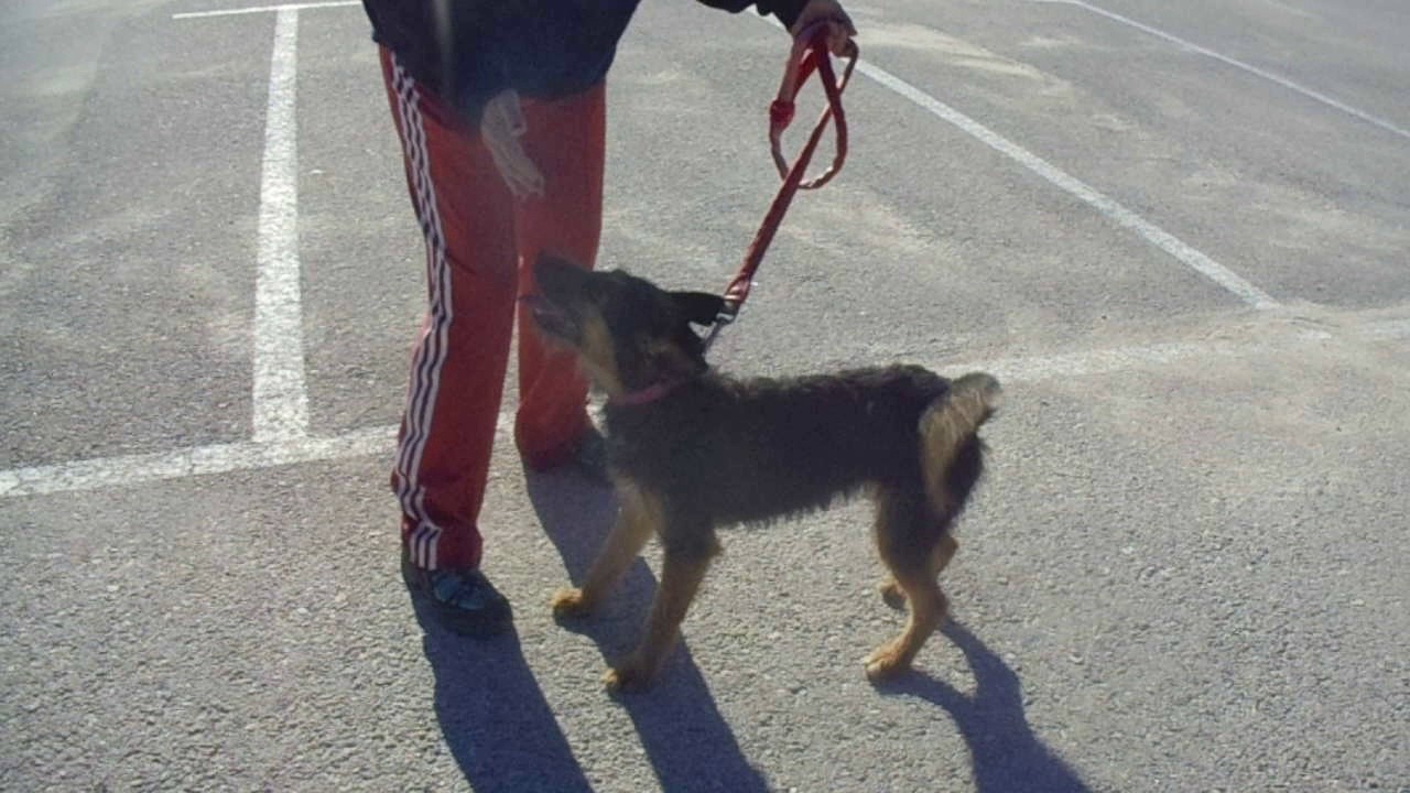 Nina Nena Nana Daisy Youtube youtube