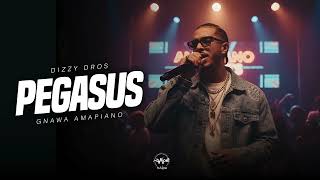 DIZZY DROS – PEGASUS (Gnawa Amapiano Re-Edit) 🪽🌀🔥