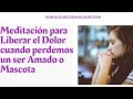 Duelo -  Meditacion liberar el dolor por la muerte Mascota Perro y Gato o Ser Querido