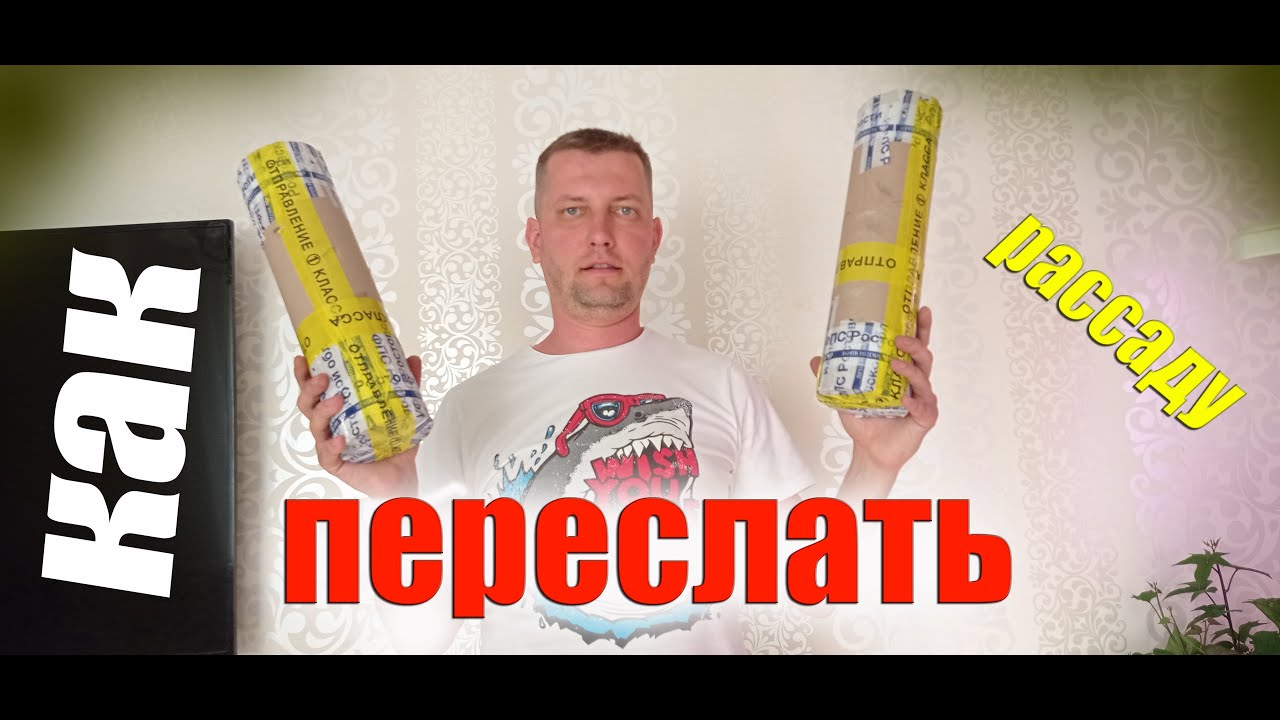 Как отправить рассаду в другой город - YouTube