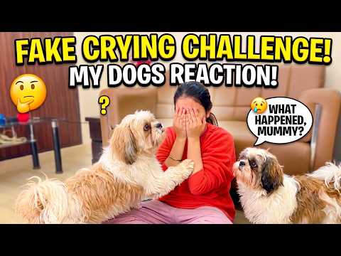 Maine Jhoota Rona Shuru Kiya Aur Phir... 😱 Ozzu Noor Ka Reaction!