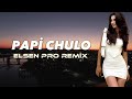 Elsen Pro Papi Chulo Remix Elsen Pro Papi Chulo Remix