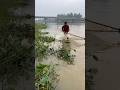 Traditional rular net fishing video