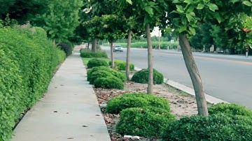 Rsx Type S Injen Cold Air Intake