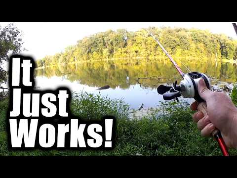 I Can't Believe THIS LURE Works So Well! Bass Fishing With TEMU Lures