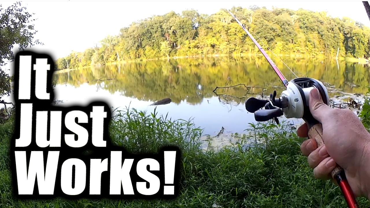 I Can't Believe THIS LURE Works So Well! Bass Fishing With TEMU Lures