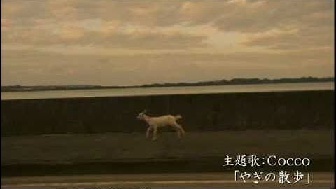 映画『やぎの冒険』予告編