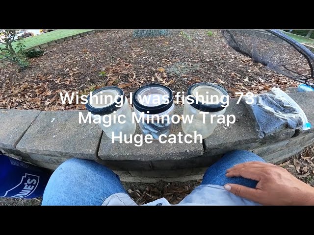 Magic Minnow Trap…Huge catch 