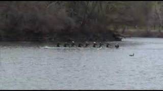 4th Manny Flick Freshmen 8 Race