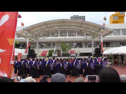 【公式】東海大学 響 『霞空』2017’にいがた総踊り