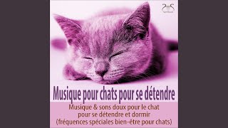 Berceuse pour chats - piano, bruit de douche, ronronnement (pas de basses fréquences) screenshot 4