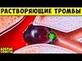 СуперПродукты, которые Чистят кровь от Тромбов + Народные средства