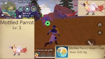 Utopia Origin | Bắt Vẹt Tặng Tân Thủ | Tame Mottled Parrot | 捕捉雲鳥送給新手 | 烏托邦起源 #65