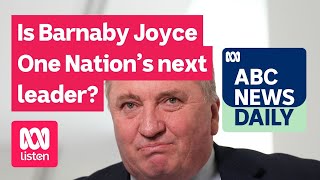 Is Barnaby Joyce One Nation’s next leader? | ABC News Daily podcast