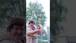 С Днём Бабушек! Выставляю позднее -  2 дня не было Интернета😉