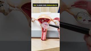 Ovarian Health Tests Every Woman Should Know 🧬 | Check Your Fertility Early!