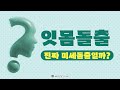 미세돌출, 잇몸돌출 정말 돌출이 미세해서 미세돌출일까?발치하면 합죽이될까? [부산센텀해운대잇몸돌출거미스마일S&amp;S교정치과-뉴욕스마일교정치과]