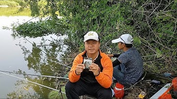 Kinh nghiệm lựa chọn và sử dụng trục  thẻo câu đài