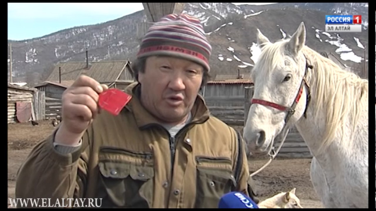 Сайт эл алтай. ГТРК Эл Алтай. ГТРК горный Алтай. ГТРК Эл Алтай Горно Алтайск. Эл Алтай новости.