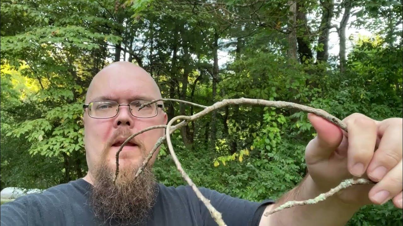 How to Know if Kindling is Dry Enough YouTube