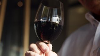 Discover Penfolds Bin 8 Cabernet Shiraz