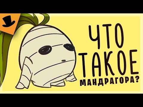 ЧТО ТАКОЕ МАНДРАГОРА | Don't Starve [16+]