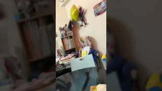 Blue Kirby On A Star Is Gotta Eat You.exe