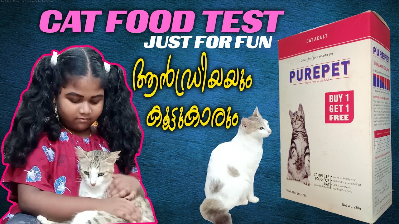 CAT FOOD TEST. Just for fun. AAC TALKS YouTube