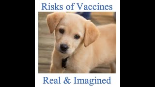 Vaccine Risks