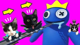 ¿Qué pasa si entramos dentro de Blue de Rainbow Friends Roblox? / Videos de gatitos Luna y Estrella