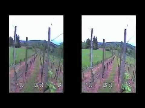 NerdCam3D - Grapevine Run