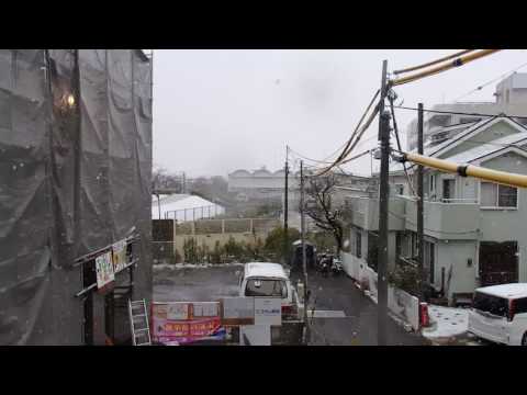 １１月だというのに雪！　関東南部だよ？