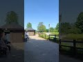 Live highlight
