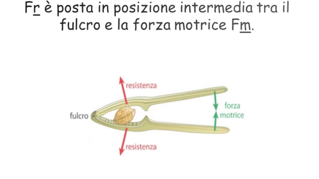 Leva di 1° 2° 3° genere - YouTube