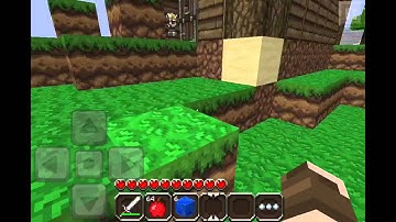 New intro-|-bacon song