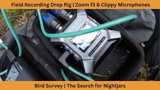 Field Recording Skills | Drop Rig | Zoom f3 &amp; Micbooster Clippies | Bird Survey | Nightjars