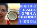 How to Open a Coconut without Tools | Coconut Crackin in Puerto Rico