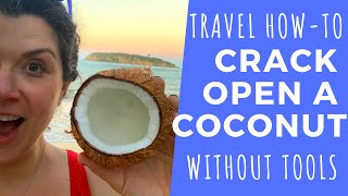 How to Open a Coconut without Tools | Coconut Crackin in Puerto Rico