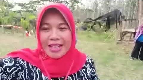 Vlog Kecamatan Bantaran-Jambore Kader Posyandu 2019