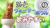 ヘルスウォーターボウルを猫で効果を検証 Validate The Effect Of A Health Water Bowl To A Cat Youtube