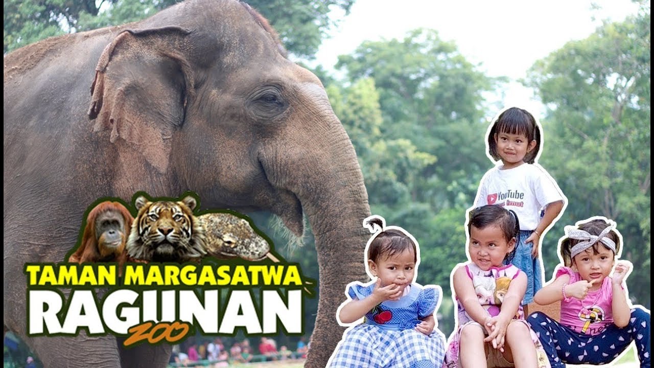 Jalan-Jalan di Taman Marga Satwa Ragunan